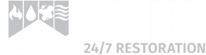 Allied 247 White 1 300x81 1