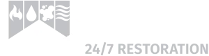 Allied 247 White 1 300x81 1
