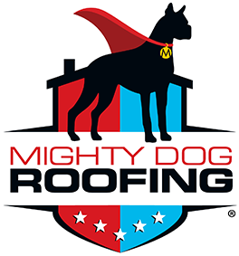 Logo.2409301534218