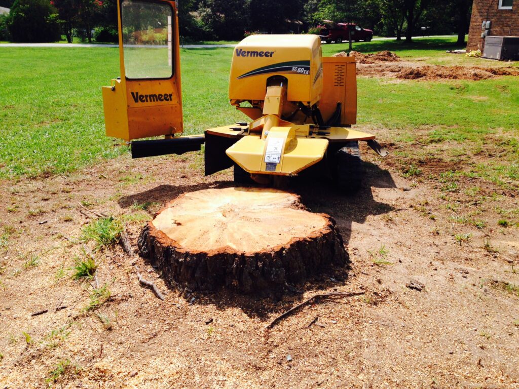 Yellow Vermeer SC60TX stump grinder positioned behind a large tree stump in a grassy yard.