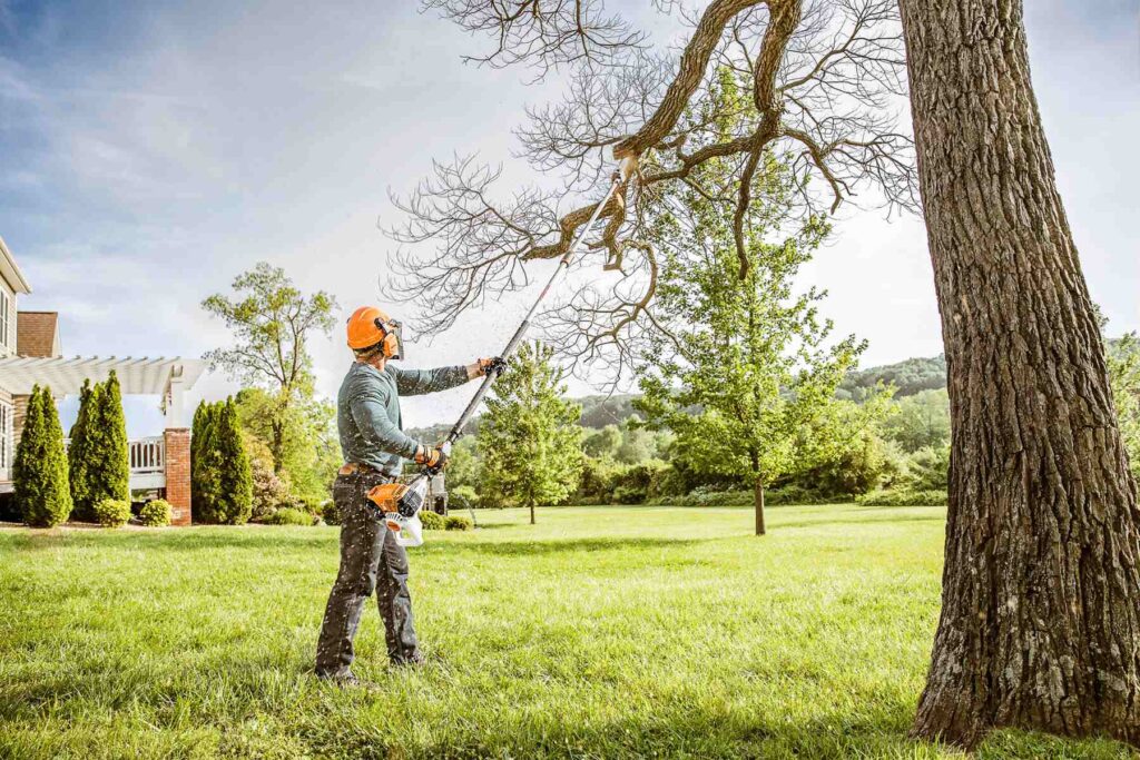Man in safety gear using a pole saw to prune a high tree branch in a backyard.