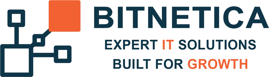 Bitnetica logo: Expert IT Solutions Built for Growth