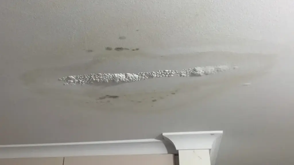 Large water stain and peeling paint on a white interior ceiling caused by a leak.