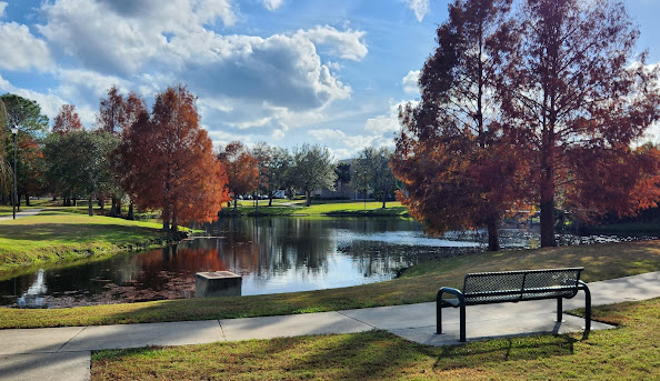 Pond reflecting orange autumn trees with a black metal bench on a sidewalk in the foreground.