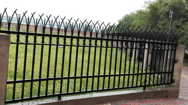 Black metal fence with sharp, pointed spikes along the top, bordering a grassy area.