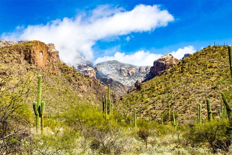 Saguaro cacti populate a rocky, desert canyon below rugged mountains dusted with snow under a bright blue, cloudy sky.