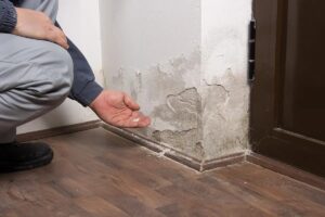 A person inspects a water-damaged interior wall with peeling paint and crumbling plaster near the baseboard.