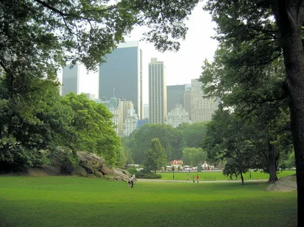 Lush green city park with a lawn and trees, with skyscrapers visible in the background.