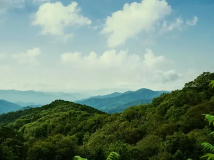 Lush green forested hills leading to distant blue mountain ranges under a cloudy sky.