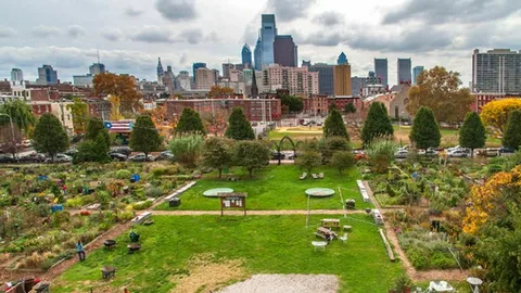 Community garden with green lawns and plant beds, overlooking a city skyline.