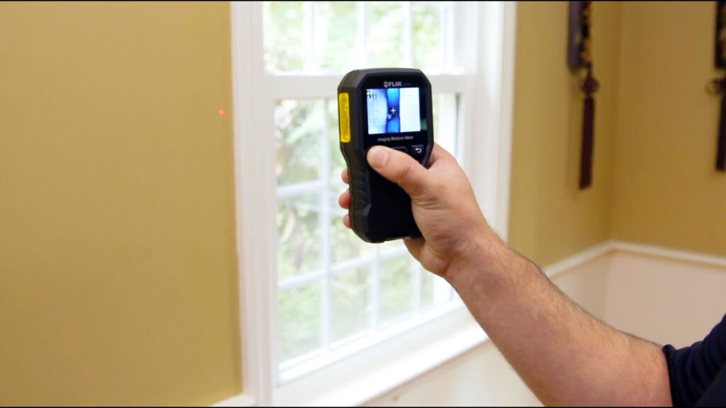 A person holds a FLIR imaging moisture meter in front of a window.