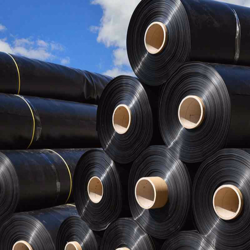 HDPE Durable Sealing Geomembrane Strong Seals Well for Lining Projects Dam Liner