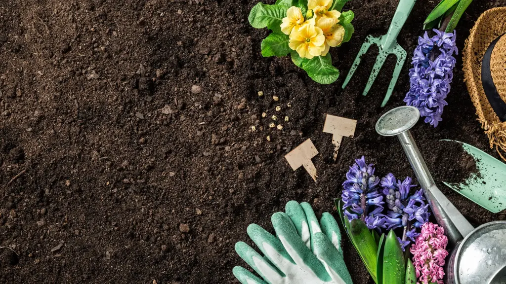 best gardening tools amazon