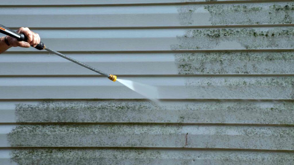 dunse cladding cleaning