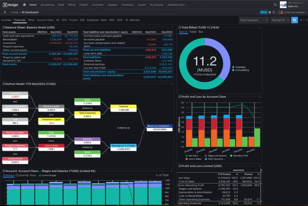 Financial dashboard displaying balance sheets, a DuPont model flowchart, and various profit and loss visualizations.