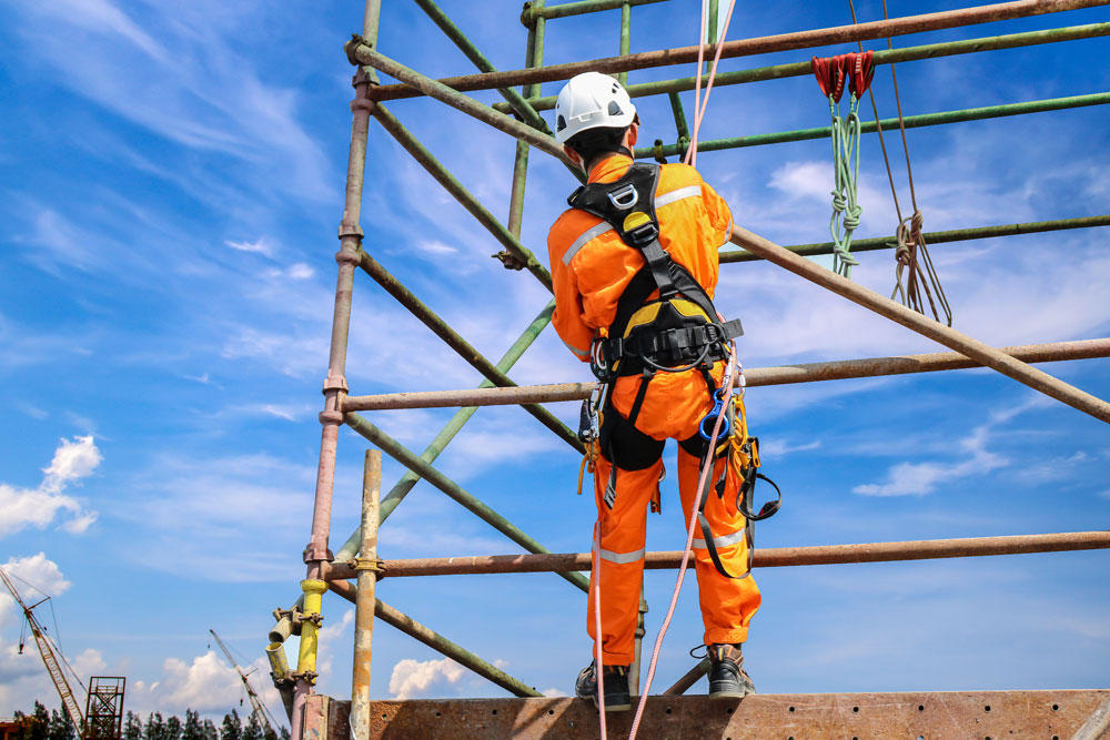 when should safety harness be replaced 1
