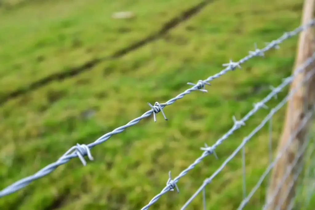 Barbed Wire Fence Installation Near Mississippi scaled 1 1536x1025 1