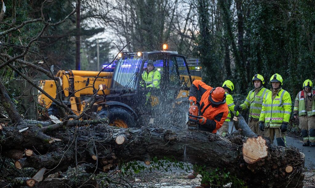 Fire Service Council Storm Tree 2 e1768502346216