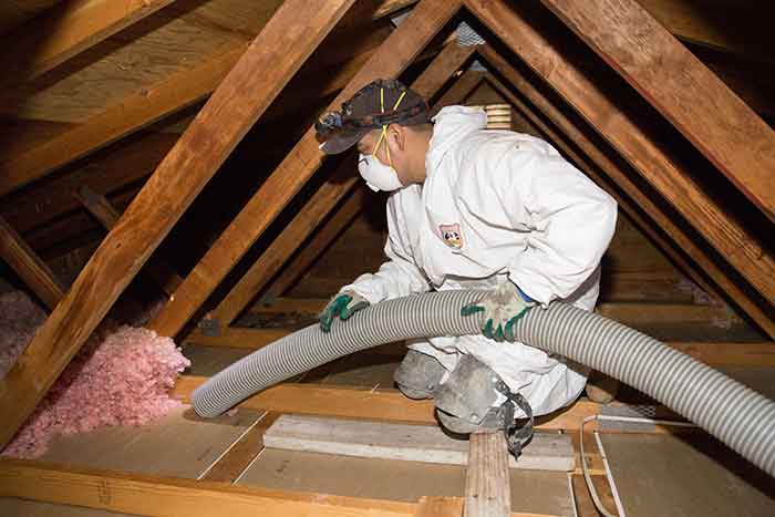 attic insulation removal during