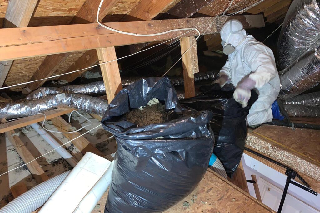 homeguide contractor cleaning restoring disinfecting attic and removing insulation lp4de1