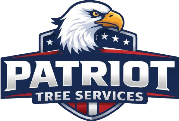 logoforpatriot