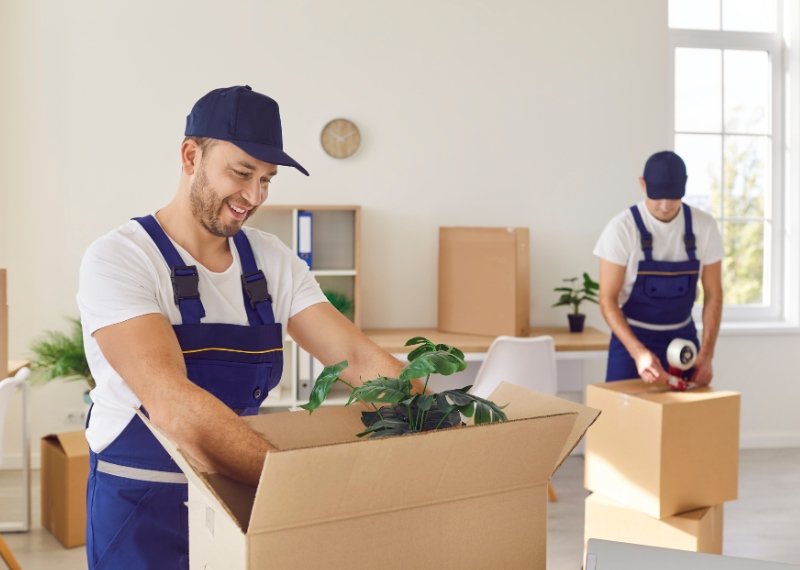most affordable moving companies imoving