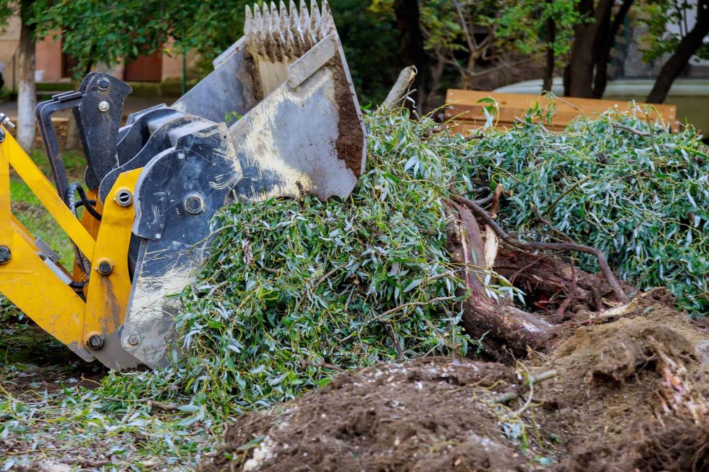 Brush clearing