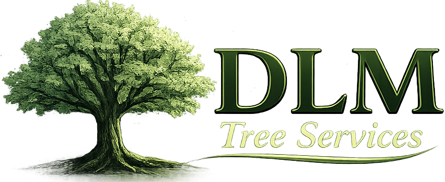 DLM LOGO