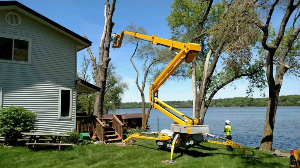 Professional Tree Removal Services 5 2048x1152 1