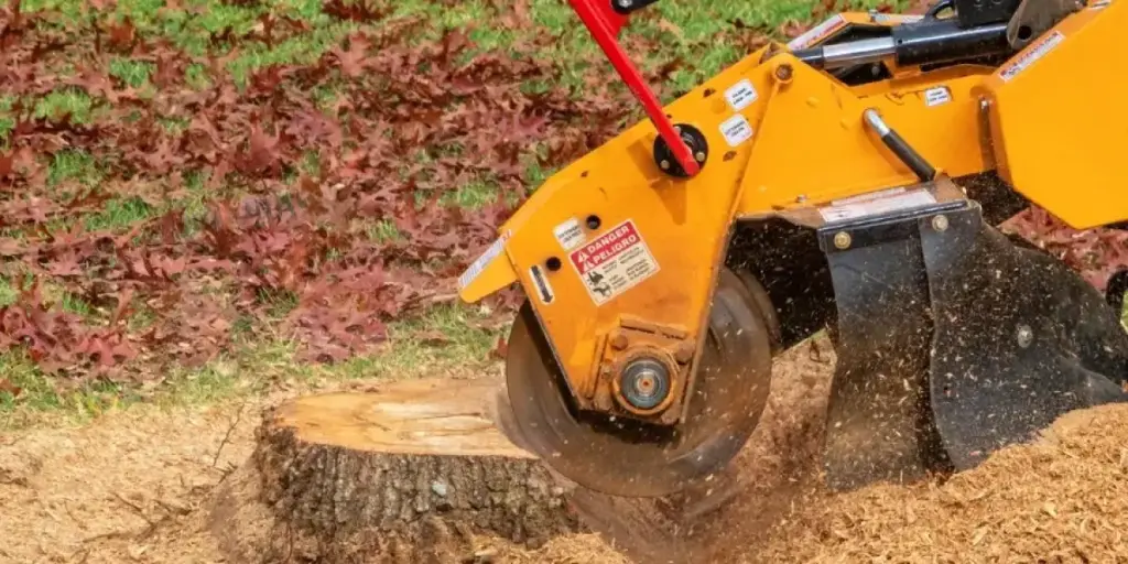 essential tips for buying stump grinders 00