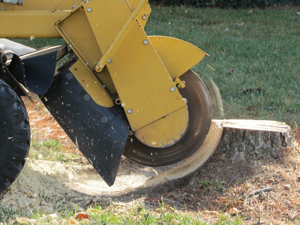 stump grind pic 2048x1536 1