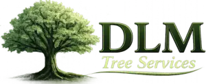 DLM LOGO 300x123 1