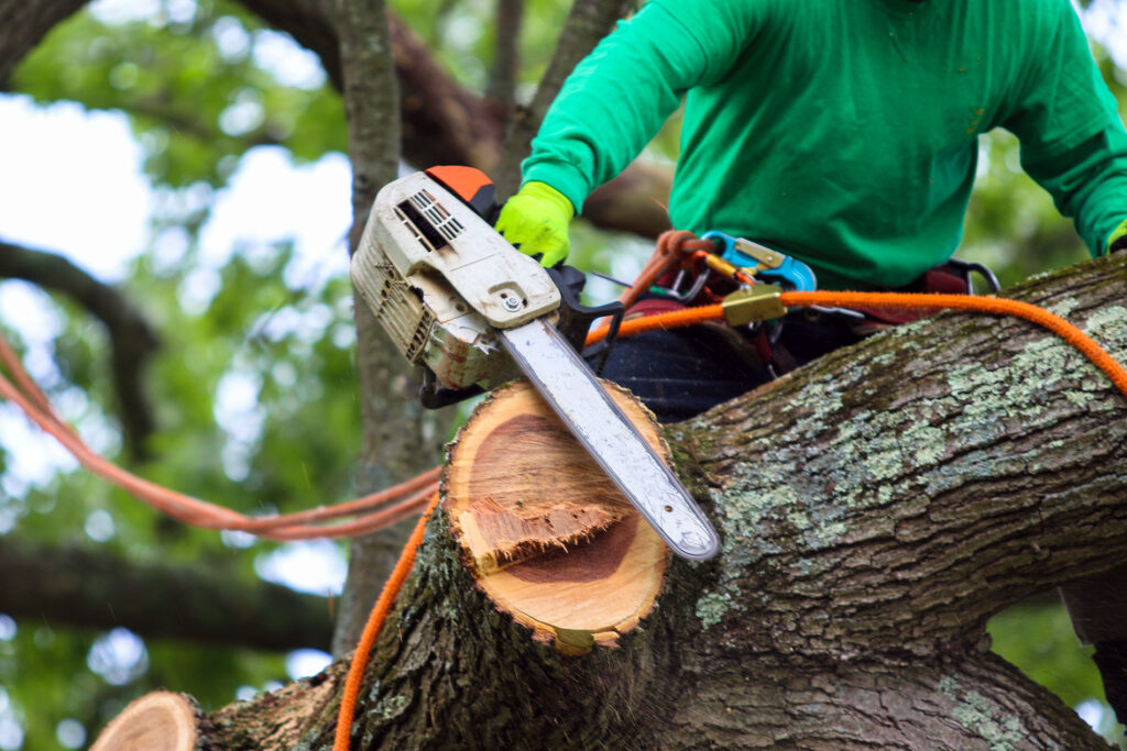Topic 70 Tree Trimming Industry
