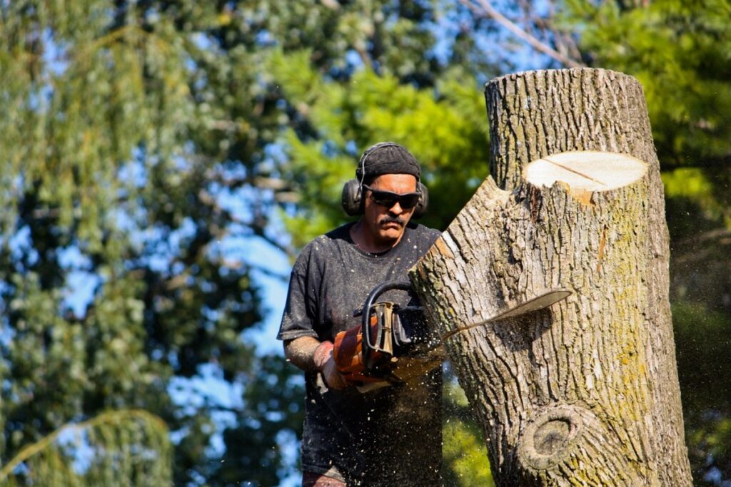 commercial residential tree services cut down x161123 pi