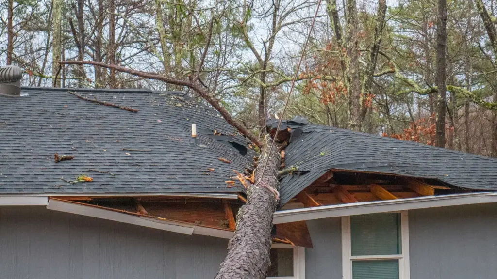 emergency roofing 1920w