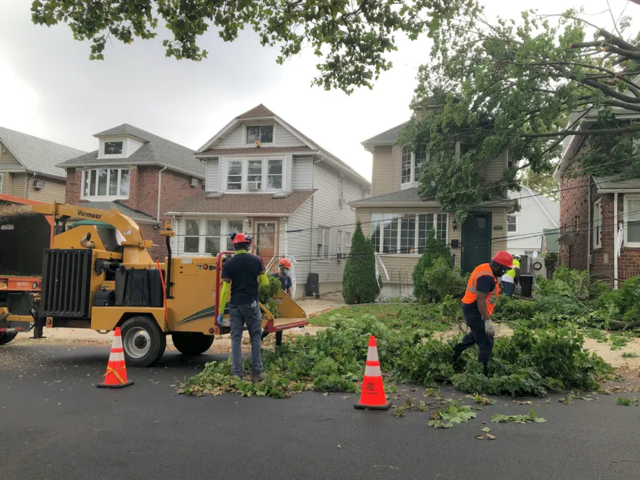 iStock 1267131441 tree falls on house