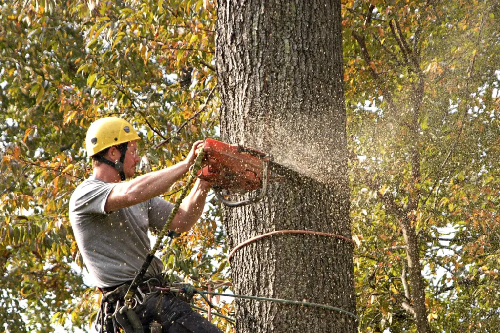neumanns tree co hero home 01 1920w