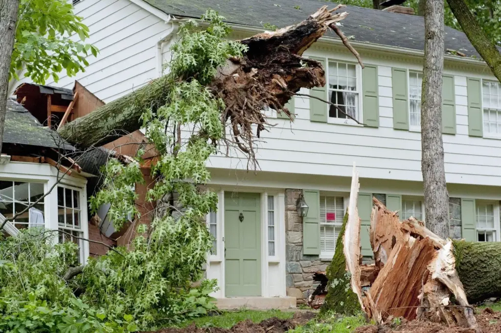 stormdamage