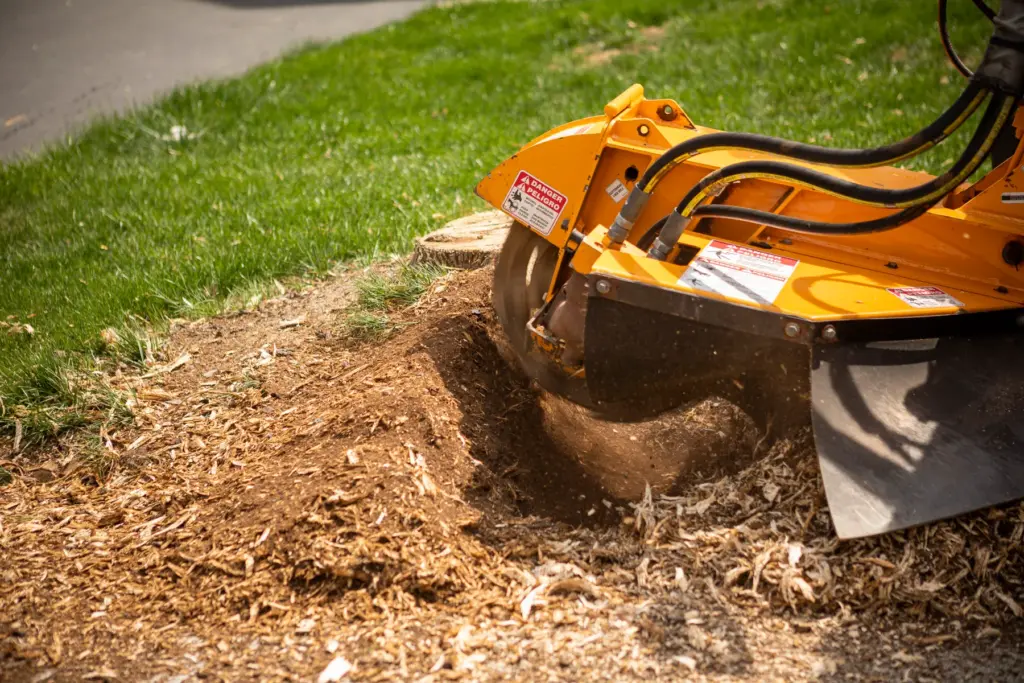Stump grinding
