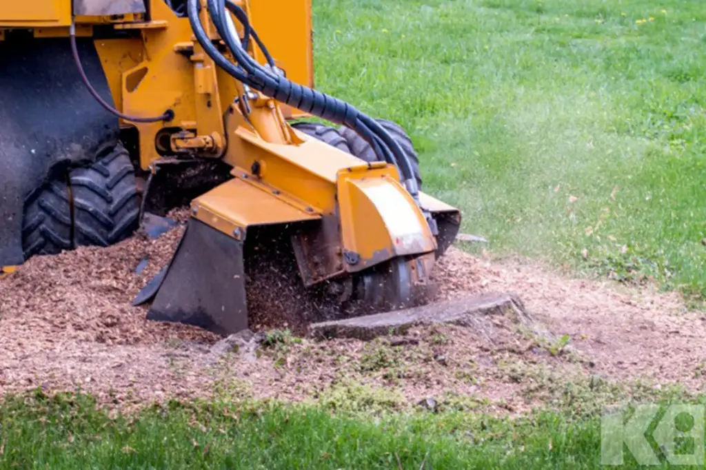 blog comment dessoucher arbre quel materiel main 4b3851d9ab