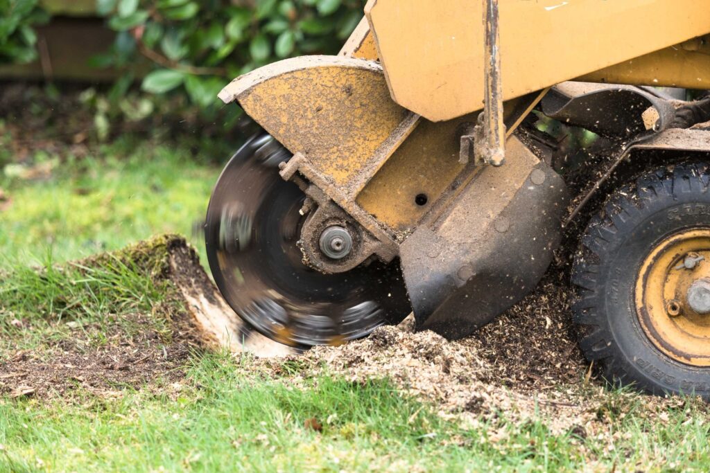 stump grinding 1