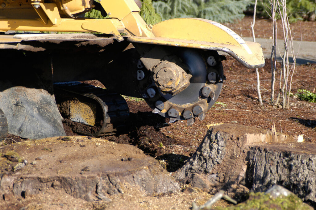 stump grinding prattville al 2 scaled 1