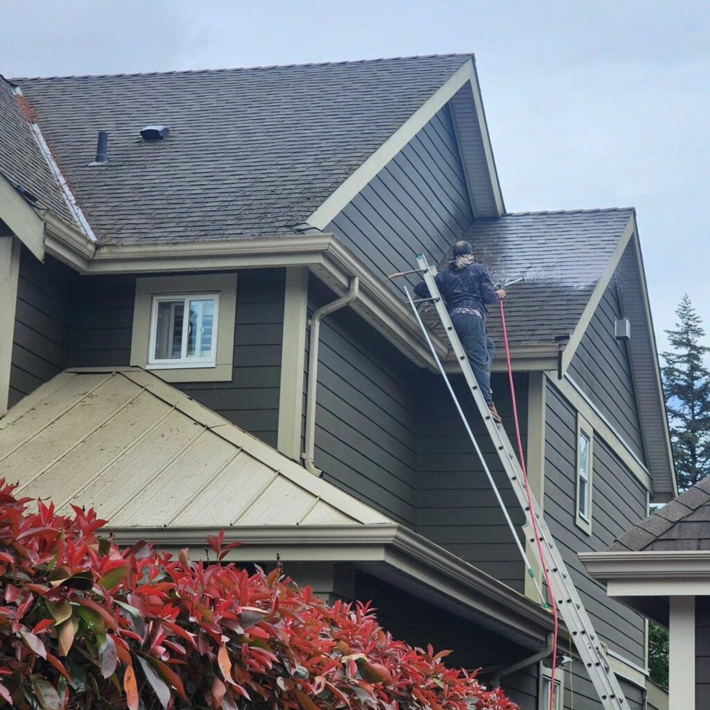 house exterior soft wash chilliwack