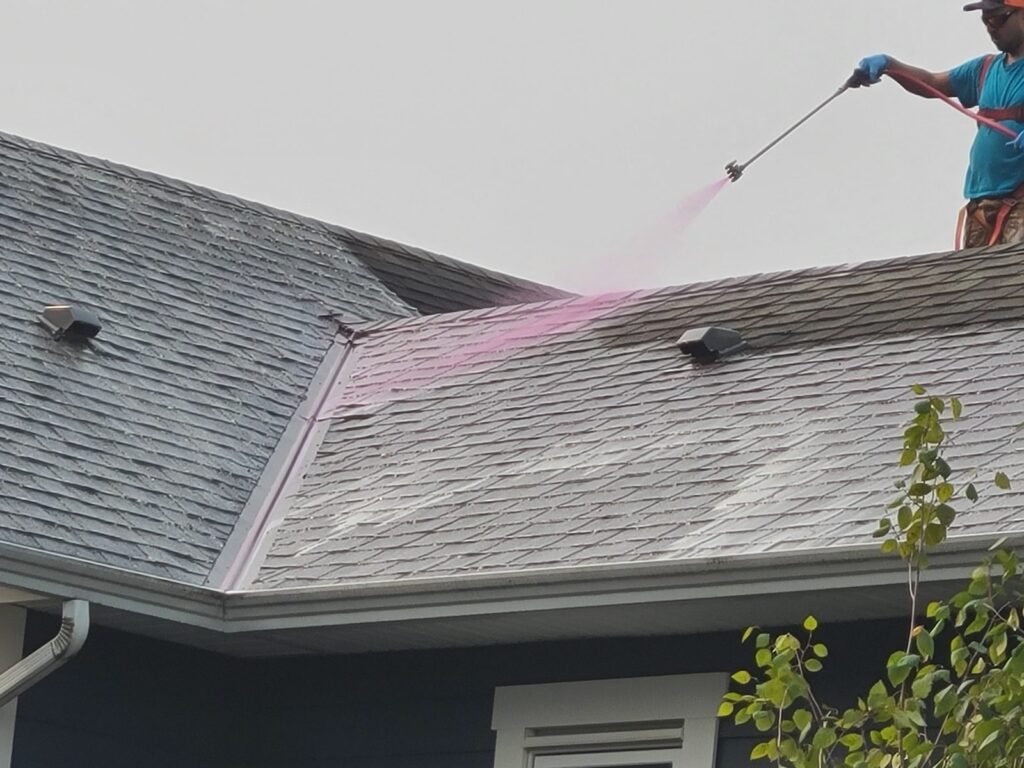 roof cleaning soft wash chilliwack