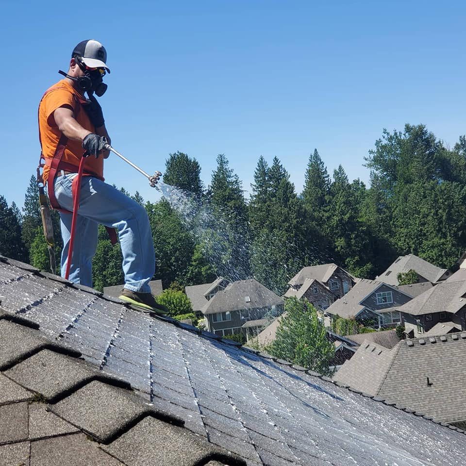 roof soft washing crew chilliwack