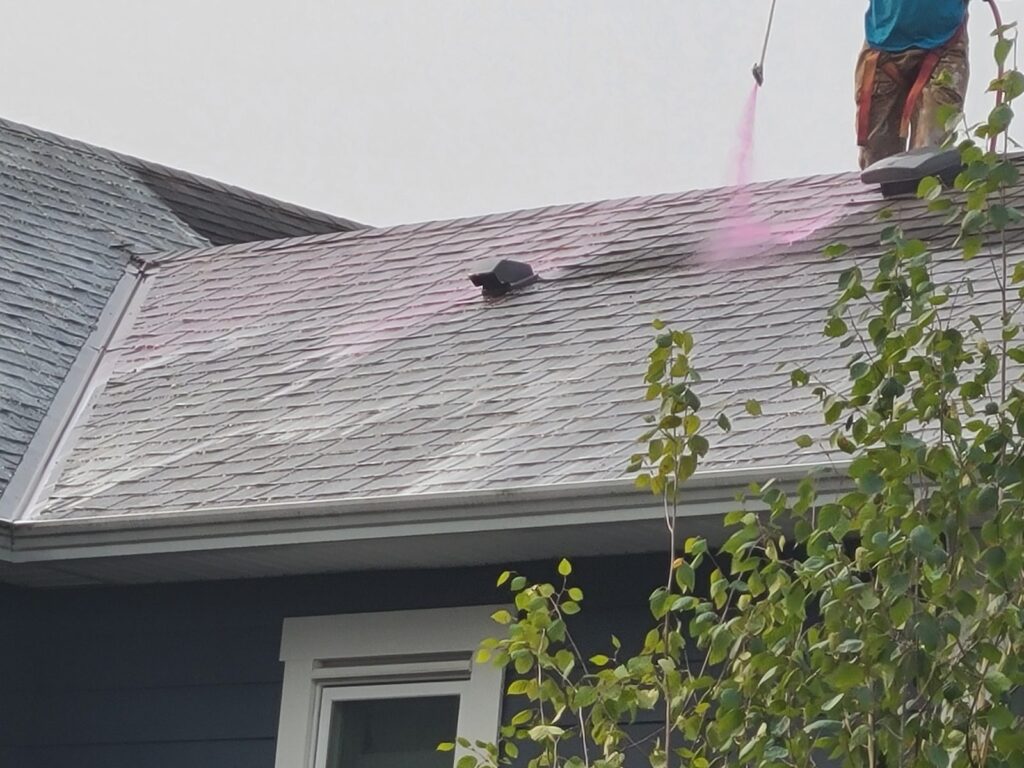 roof treatment shingle cleaning