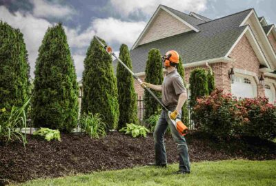 Person in safety gear using a pole hedge trimmer to prune tall conical hedges in front of a brick house.
