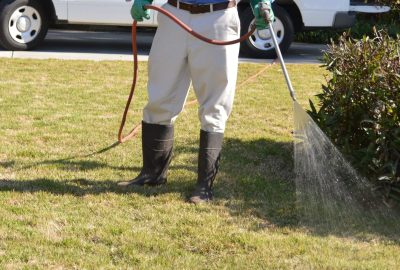 Fertilize (1)