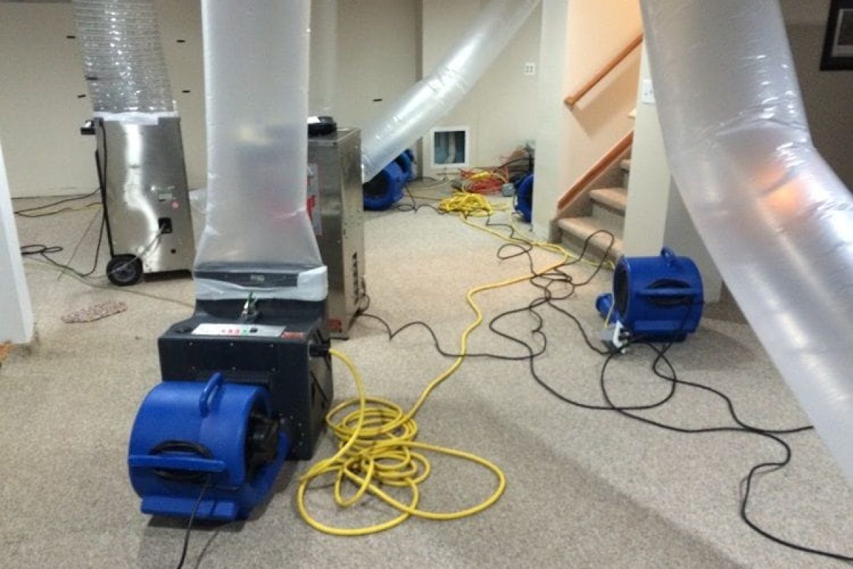 *   Image content: A basement area with several industrial air movers (blue fans) and dehumidifiers (silver machines). There