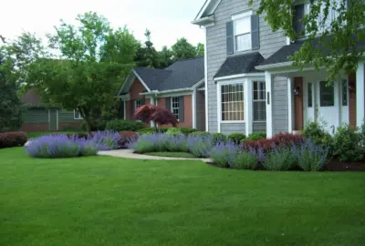 Two-story gray house with a manicured green lawn, blooming lavender flowers, and lush landscaping.
